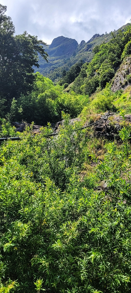Levada da Eira da Moura — A ponte de tubos sobre a Ribeira da Faja das Eguas — foto 2