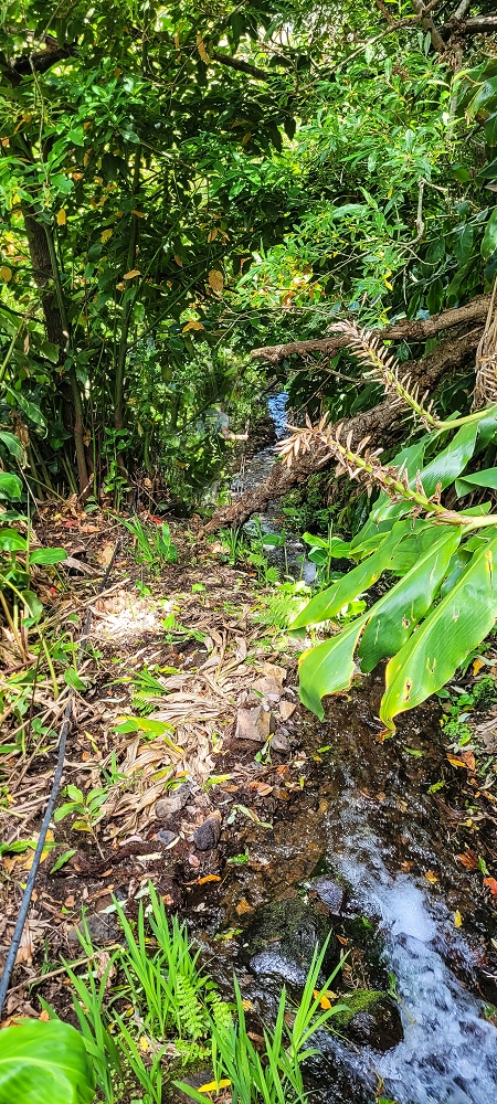 Levada da Eira da Moura — A ponte de tubos sobre a Ribeira da Faja das Eguas — foto 4