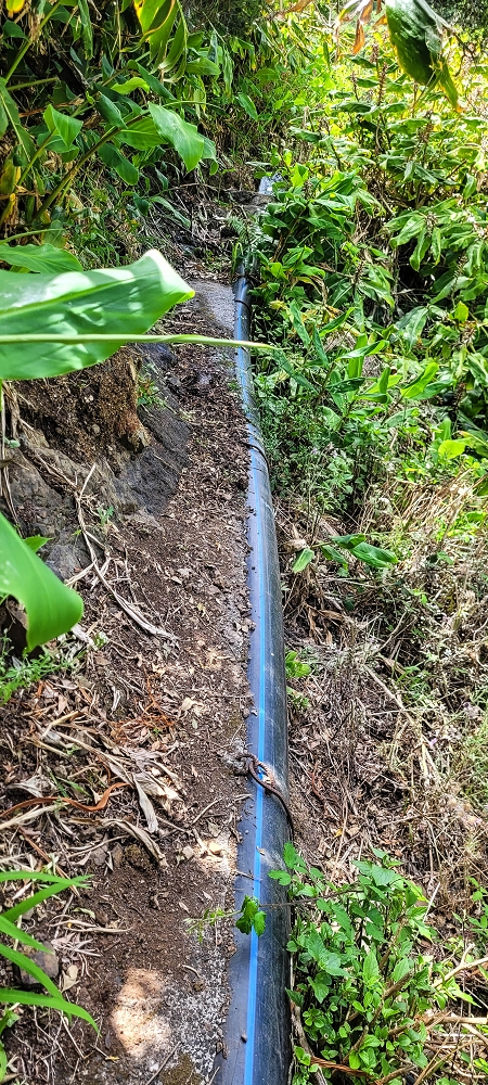 Levada da Eira da Moura — A ponte de tubos sobre a Ribeira da Faja das Eguas — foto 6