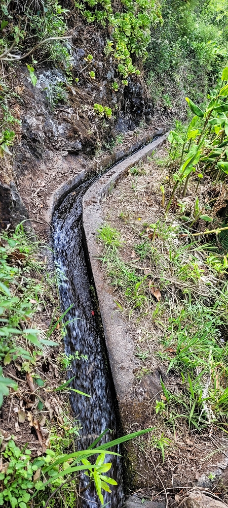 Levada da Eira da Moura — Percurso até à escadaria da levada — foto 1