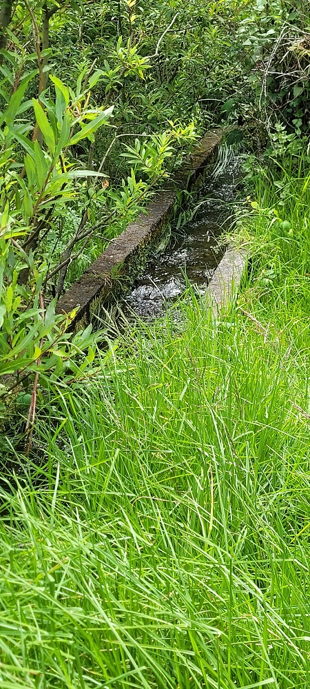 Levada da Eira da Moura — A Madre na Ribeira da Faja das Eguas — foto 5
