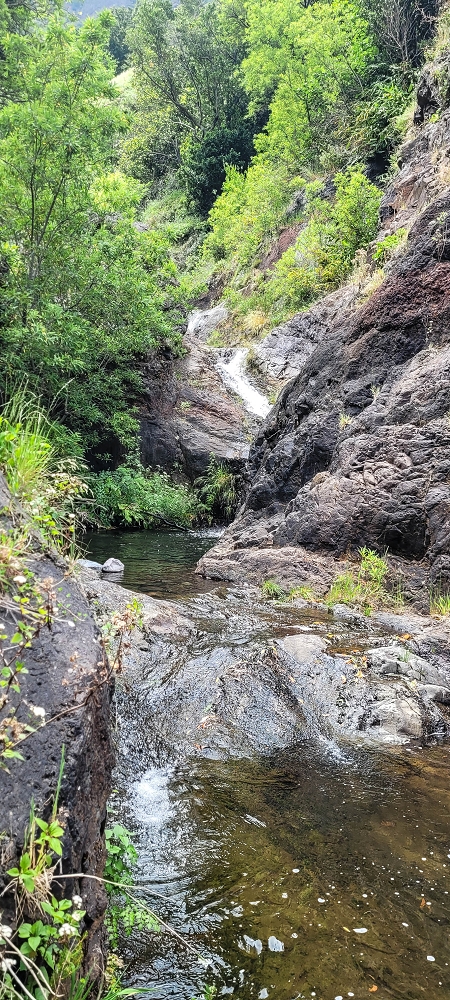 Levada da Eira da Moura — A Madre na Ribeira da Faja das Eguas — foto 1