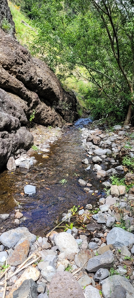 Levada da Eira da Moura — A Madre na Ribeira da Faja das Eguas — foto 2