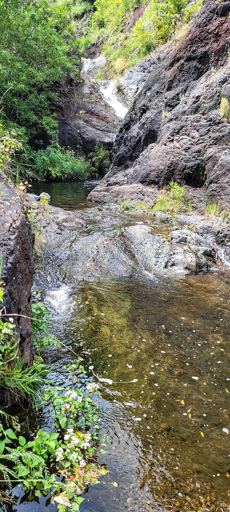 Levada da Eira da Moura — A Madre na Ribeira da Faja das Eguas — foto 3