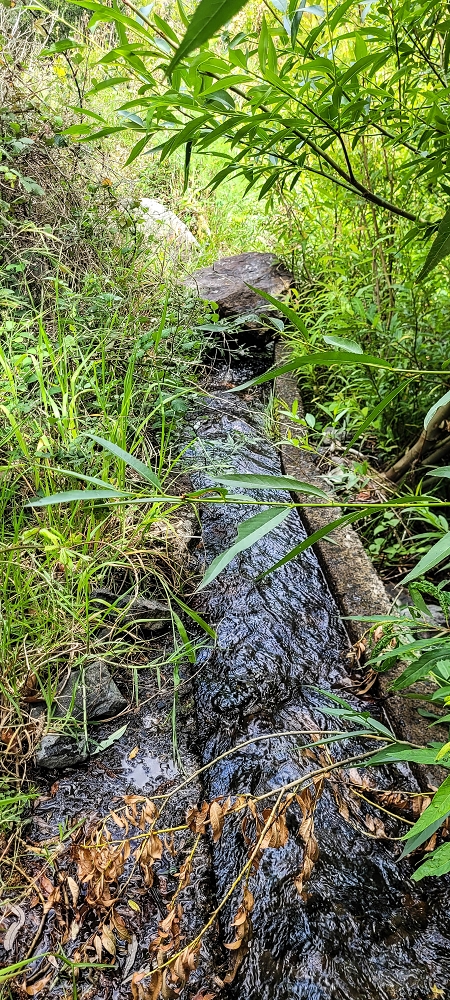 Levada da Eira da Moura — A Madre na Ribeira da Faja das Eguas — foto 6
