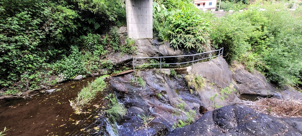 16.06.2022 Levadaexpedition in Serra de Agua — Die Madre der kleinen Levada unterhalb von Faja dos Vinhaticos — Foto 2
