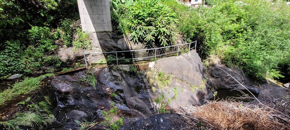 16.06.2022 Levadaexpedition in Serra de Agua — Die Madre der kleinen Levada unterhalb von Faja dos Vinhaticos — Foto 3