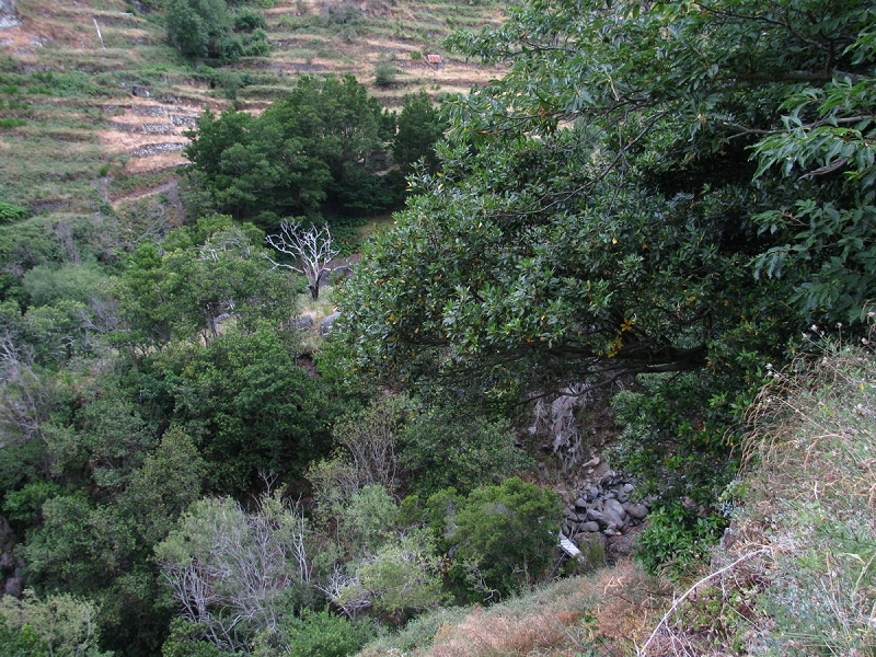 16.06.2022 Levadaexpedition in Serra de Agua — Das Rätsel mit der Brücke an der Madre der Levada da Faja dos Vinhaticos — Foto 1
