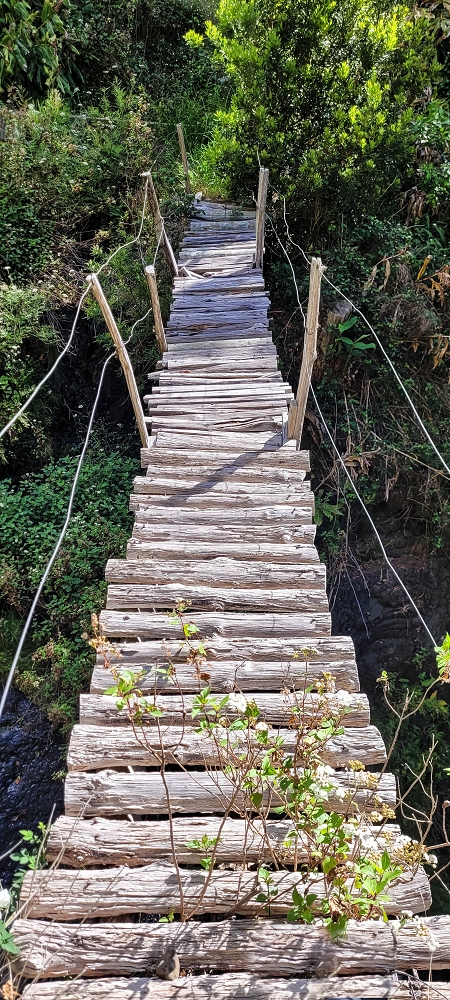 Levada da Faja dos Vinhaticos — Die ominöse Brücke — Foto 5