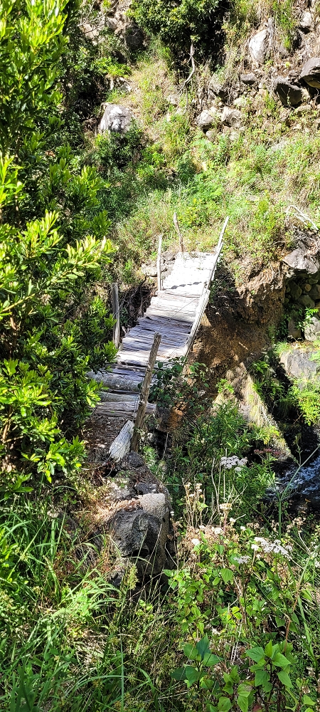 Levada da Faja dos Vinhaticos — Die ominöse Brücke — Foto 6