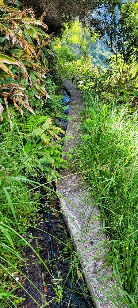 Levada da Faja dos Vinhaticos — Bis zur Vereda do Pico Redondo — Foto 1