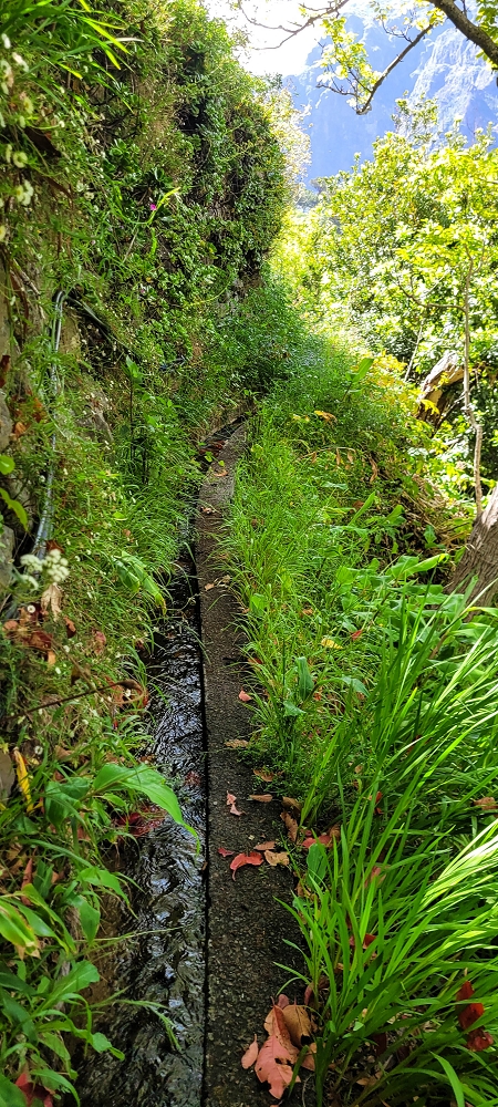 Levada da Faja dos Vinhaticos — Bis zur Vereda do Pico Redondo — Foto 2