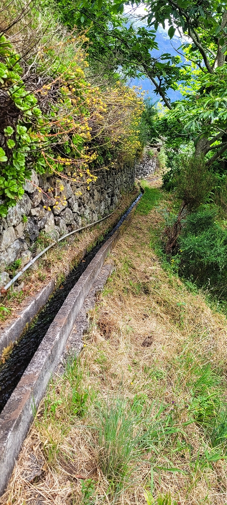 16.06.2022 Levadaexpedition in Serra de Agua — Zurück zur Vereda do Pico Rodondo und hoch zur Levada da Achadinha — Foto 5