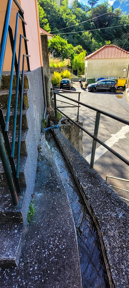 Levada da Faja dos Vinhaticos — Zum Ende der Estrada da Eira da Moura — Foto 3