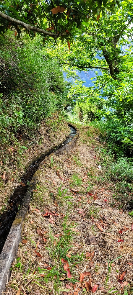 Levada da Achadinha — As far as the stream outflow — photo 1