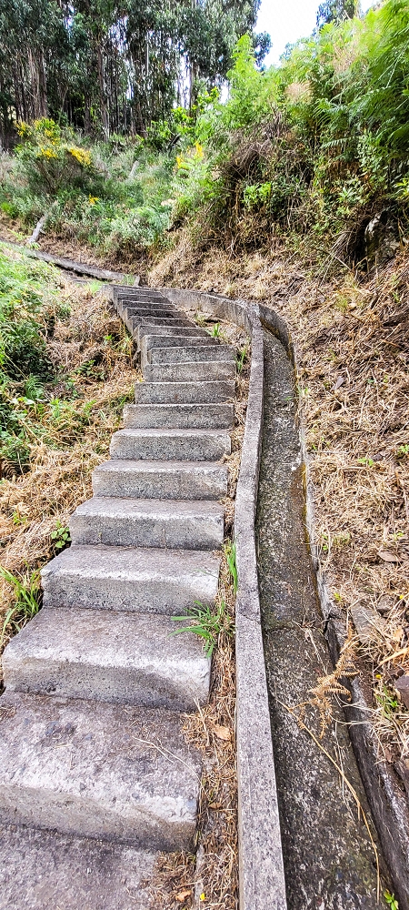 Levada da Achadinha — As far as the end at the Pousada — photo 9