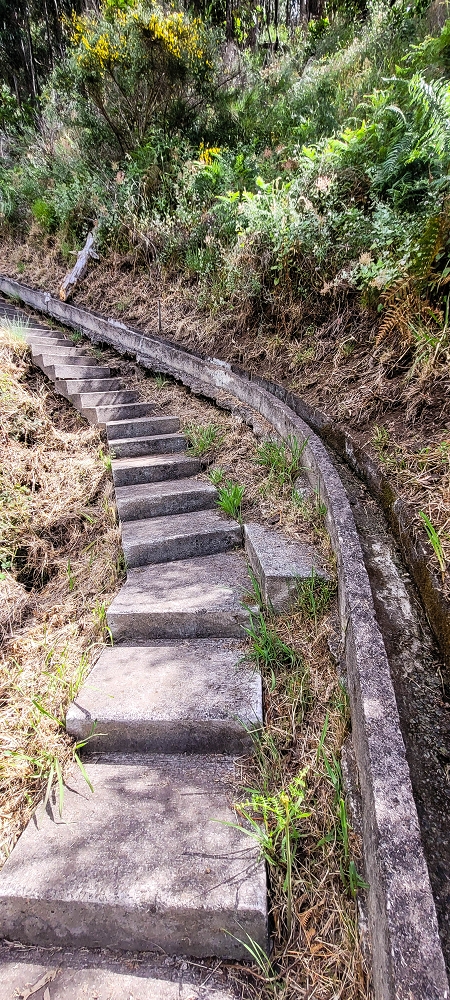 Levada da Achadinha — As far as the end at the Pousada — photo 8