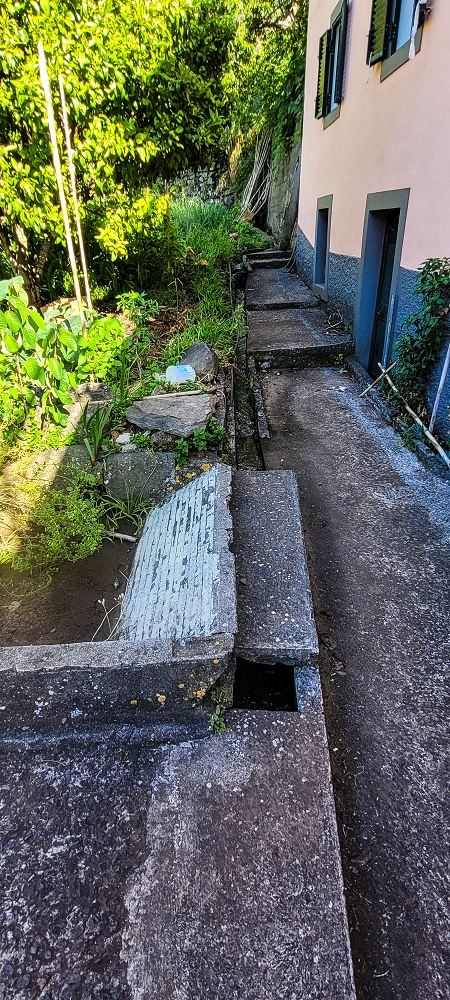 Levada da Faja dos Vinhaticos — Zum Ende der Estrada da Eira da Moura — Foto 2