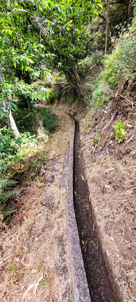 Levada da Achadinha — As far as the end at the Pousada — photo 5