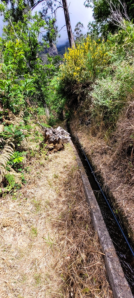 Levada da Achadinha — As far as the end at the Pousada — photo 1