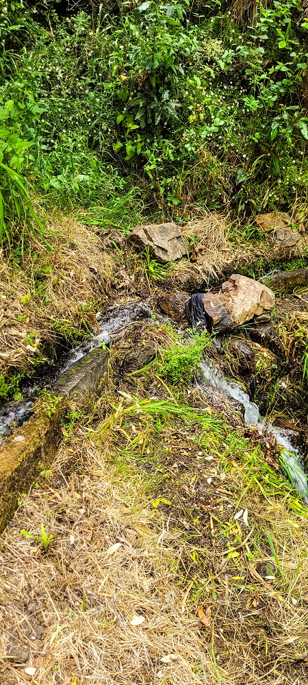 Levada da Achadinha — As far as the stream outflow — photo 7