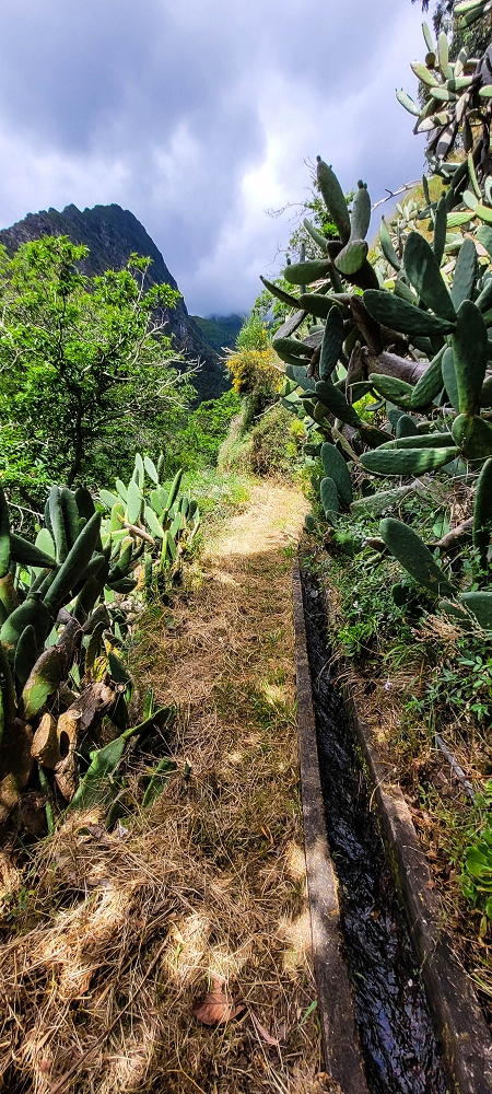 Levada da Achadinha — As far as the stream outflow — photo 6
