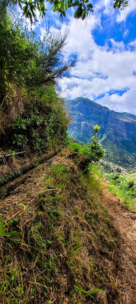 Levada da Achadinha — As far as the stream outflow — photo 4