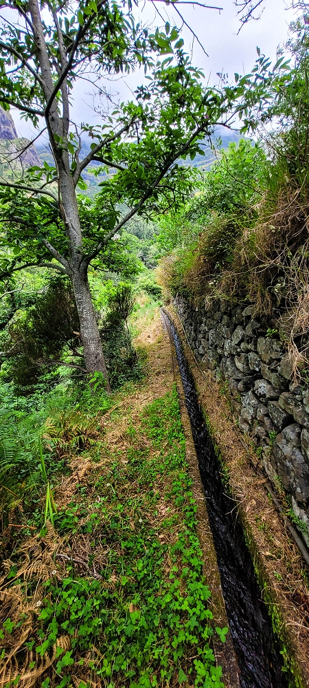 Levada da Achadinha — As far as the stream outflow — photo 3