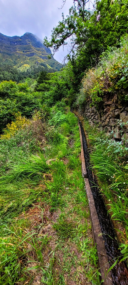 Levada da Achadinha — On to the Vereda do Pico Rodondo — photo 6