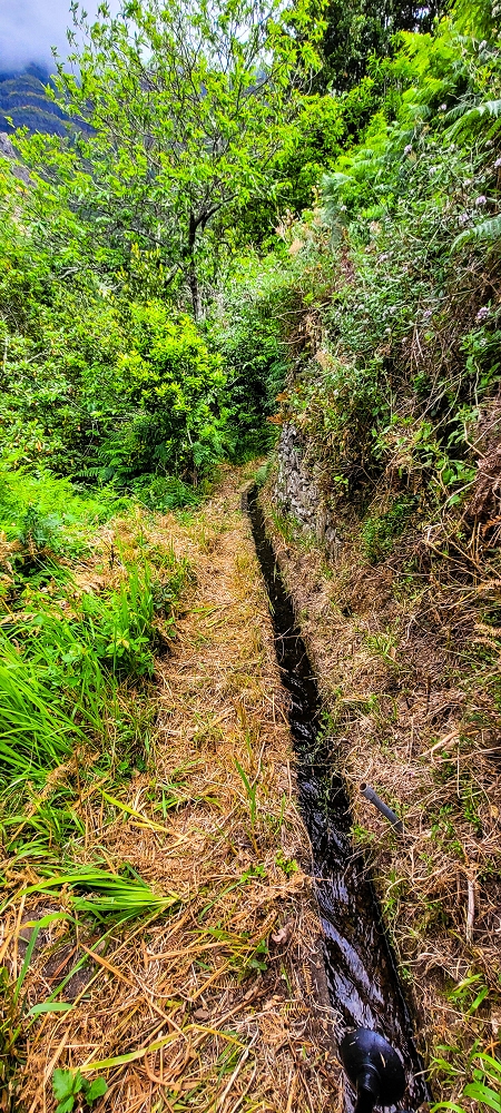Levada da Achadinha — On to the Vereda do Pico Rodondo — photo 5