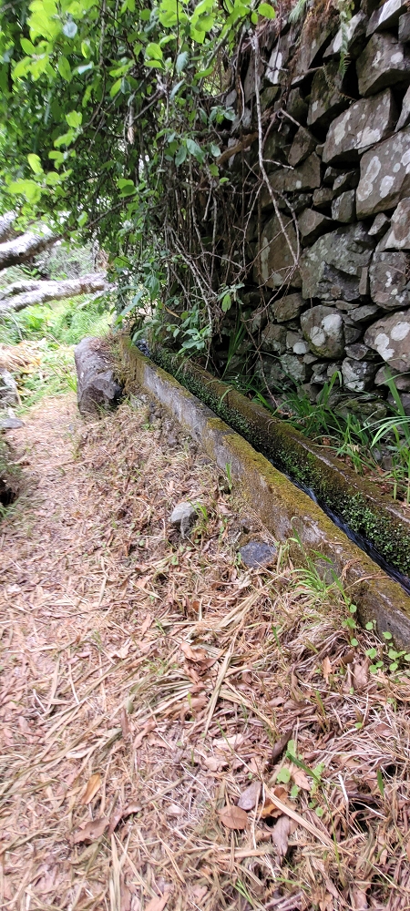 Levada da Achadinha — On to the Vereda do Pico Rodondo — photo 3