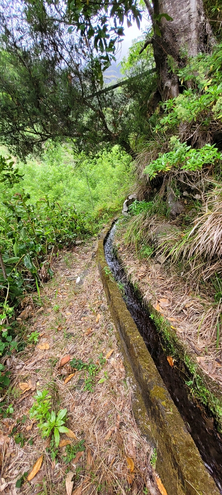 Levada da Achadinha — On to the Vereda do Pico Rodondo — photo 1