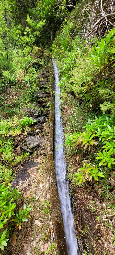 Levada da Achadinha — The first metres to the levada steps — photo 6
