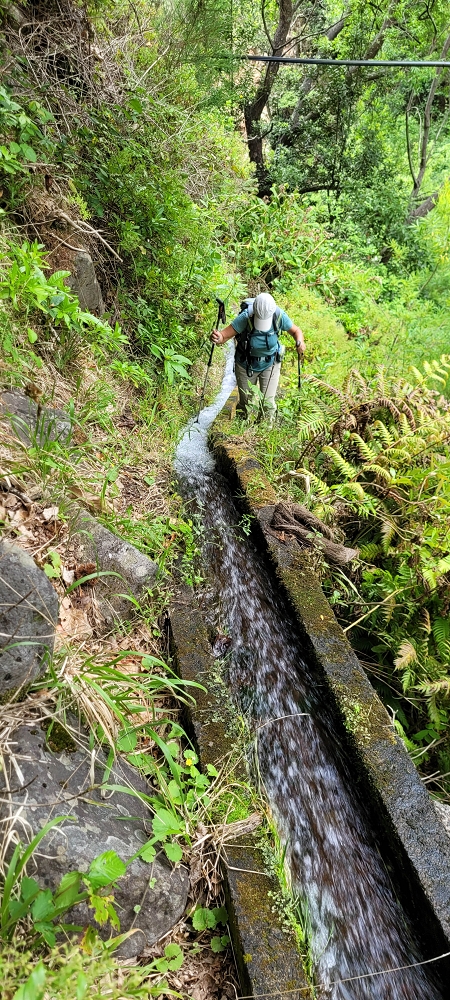 Levada da Achadinha — The first metres to the levada steps — photo 5