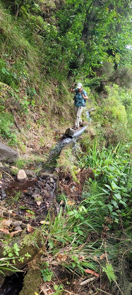 Levada da Achadinha — The first metres to the levada steps — photo 4