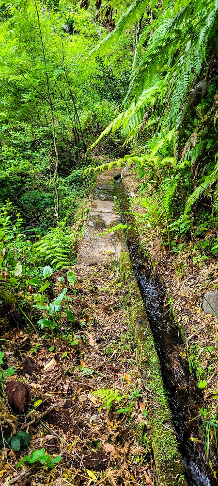 Levada da Achadinha — The first metres to the levada steps — photo 2