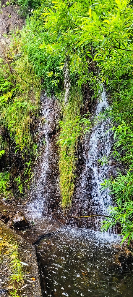 Levada da Achadinha — The Madre in the side branch of the Ribeira da Faja das Eguas — photo 2