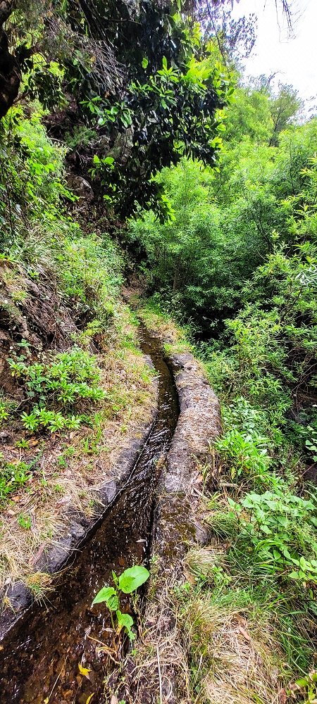 Levada da Achadinha — The first metres to the levada steps — photo 1