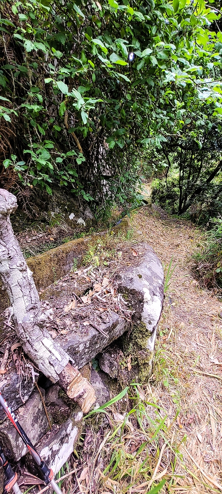 16.06.2022 Levadaexpedition in Serra de Agua — Zurück zur Vereda do Pico Rodondo und Aufstieg nach Faja das Eguas — Foto 1