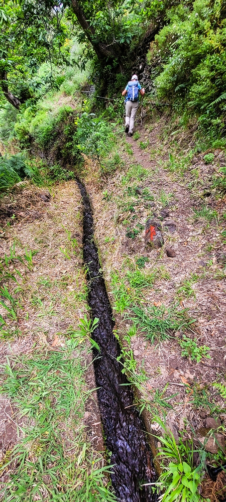 16.06.2022 Levadaexpedition in Serra de Agua — Zurück zur Vereda do Pico Rodondo und Aufstieg nach Faja das Eguas — Foto 2