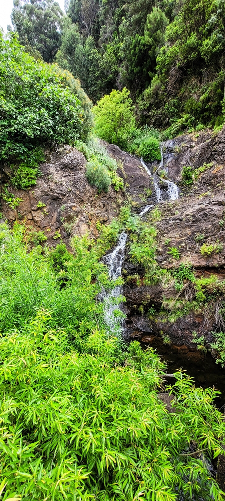 16.06.2022 Levadaexpedition in Serra de Agua — Zurück zur Vereda do Pico Rodondo und Aufstieg nach Faja das Eguas — Foto 3