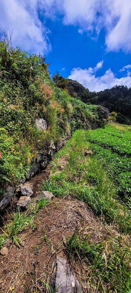 Levada da Fajã das Éguas — On to the last irrigated field — photo 7