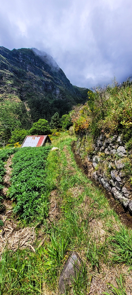 Levada da Fajã das Éguas — On to the last irrigated field — photo 6