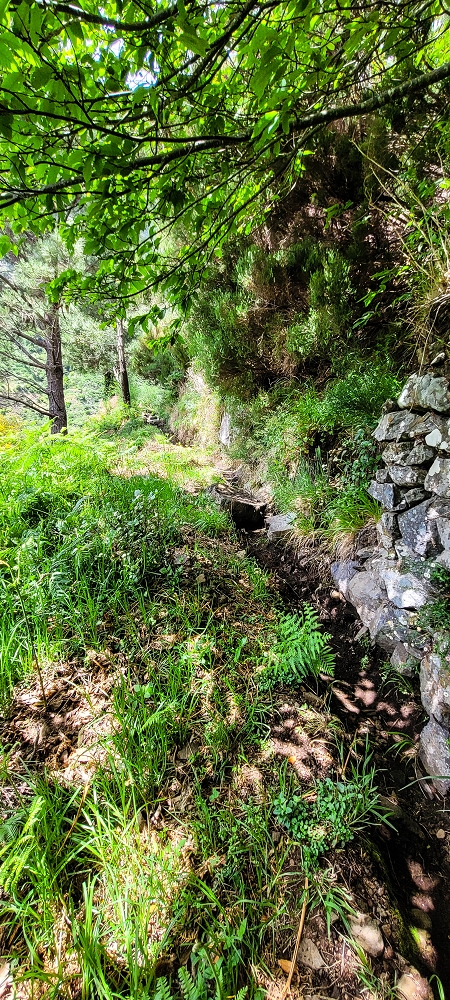 Levada da Fajã das Éguas — On to the last irrigated field — photo 4