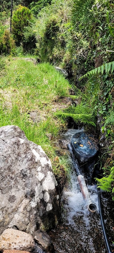 Levada da Fajã das Éguas — On to the last irrigated field — photo 1