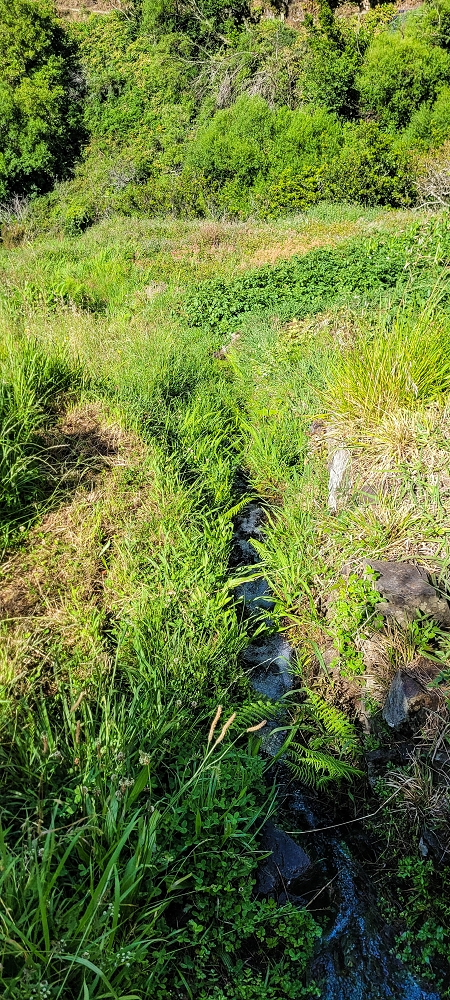Levada da Faja dos Vinhaticos — Abfluss in die Felder — Foto 2
