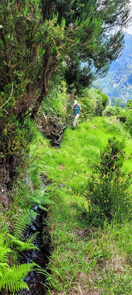 Levada da Fajã das Éguas — As far as the junction to the upper branch — photo 15