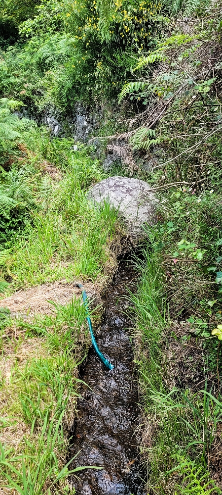 Levada da Fajã das Éguas — As far as the junction to the upper branch — photo 14