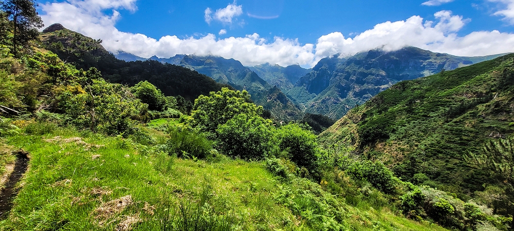 Levada da Fajã das Éguas — As far as the junction to the upper branch — photo 12