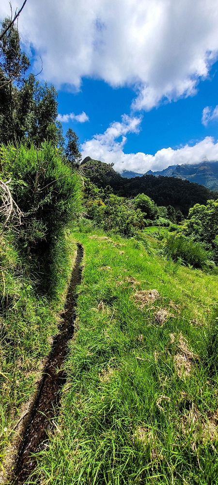 Levada da Fajã das Éguas — As far as the junction to the upper branch — photo 11